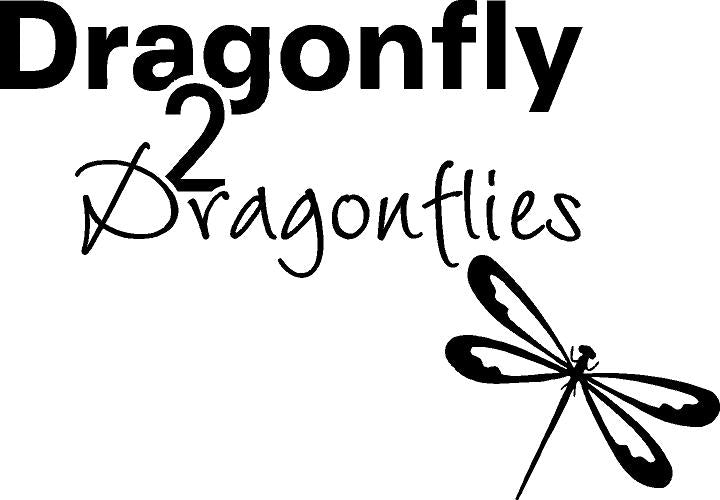Dragonfly 2 Dragonflies